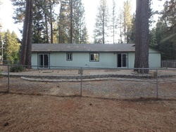 Grizzly Flats