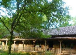 Van Alstyne
