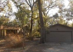 Palo Cedro