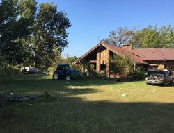 Trout