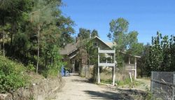 Willits