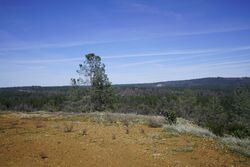 Grass Valley