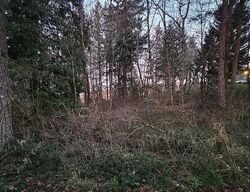 Yelm