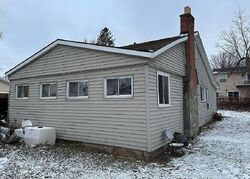 Novi