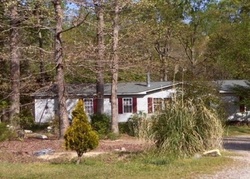 Youngsville