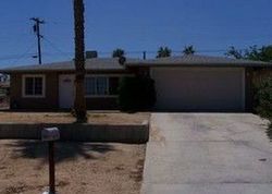 Joshua Tree