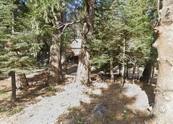 Rimforest