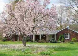 Spring Arbor