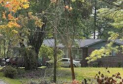 Spruce Pine