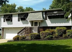 Mineral Ridge