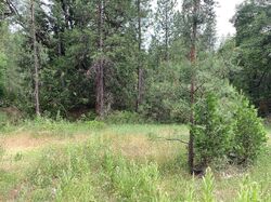 Grizzly Flats