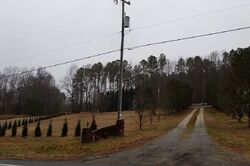 Cobbs Creek