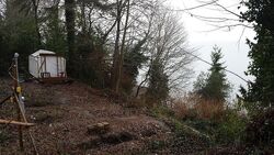 Vashon