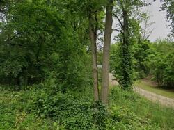 Plainwell