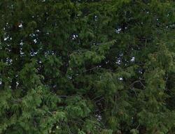 Wisconsin Rapids
