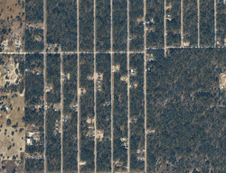 Dunnellon