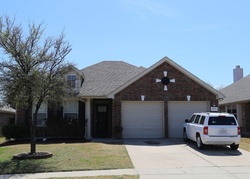 Little Elm