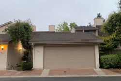 Cupertino